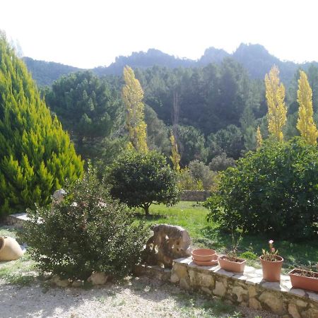 Villa Cortijo Del Cuco à Riópar Extérieur photo