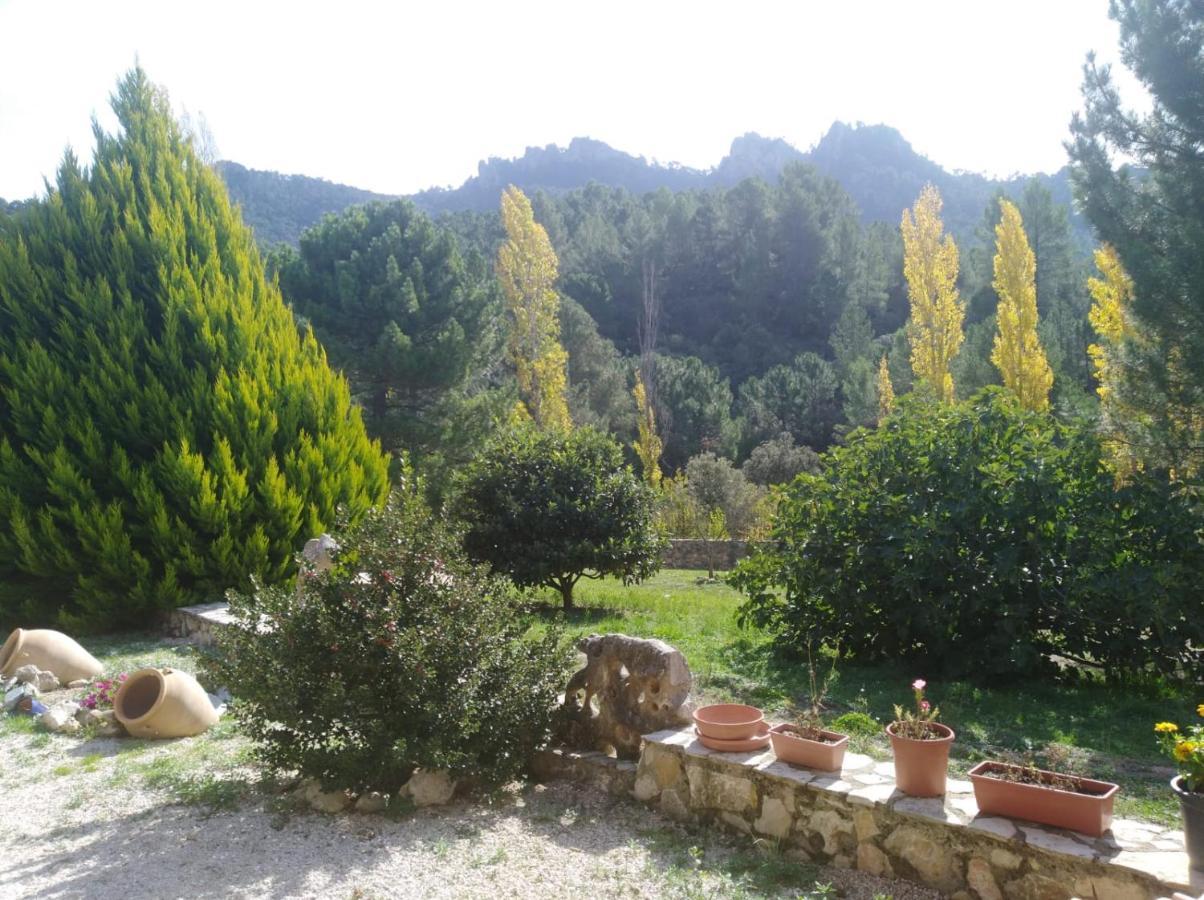 Villa Cortijo Del Cuco à Riópar Extérieur photo